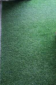 Rumput Karpet
