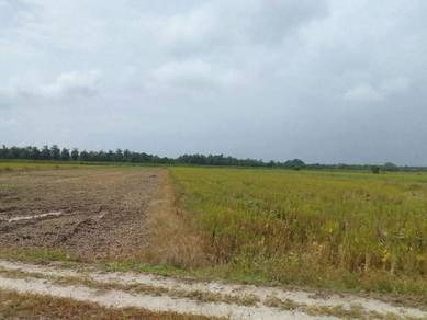 Agricultural Land in Bandar Baharu, KDH