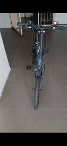Foldable bycicle