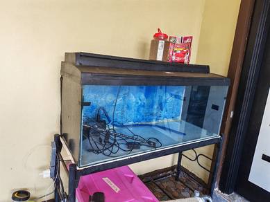 aquarium 4 kaki 