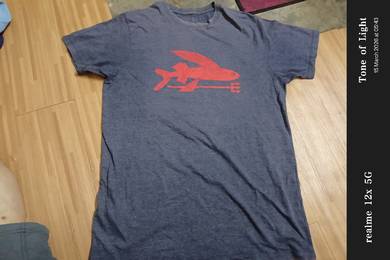 Patagonia shirt