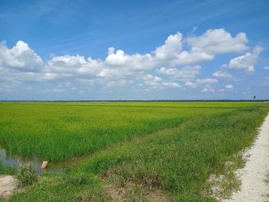 Agricultural Land in Kampong Gajah, PRK