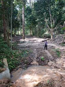 Agricultural Land in Kuala Klawang, NSN