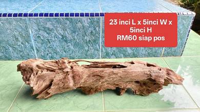 aquarium driftwood PONTIAN - RAYA