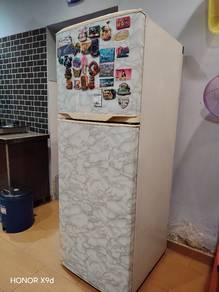 Electrolux Peti Sejuk 2 Pintu 310L