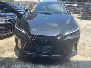 2023 Lexus NX 250 LUXURY