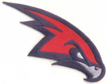 NBA Atlanta Hawks Basketball Embroidered Patch