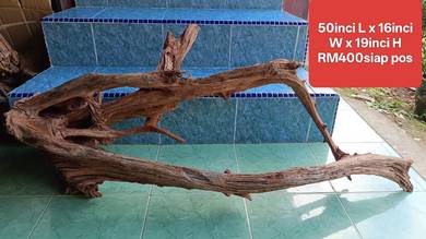 driftwood besar aquarium kolam fiberglass tank