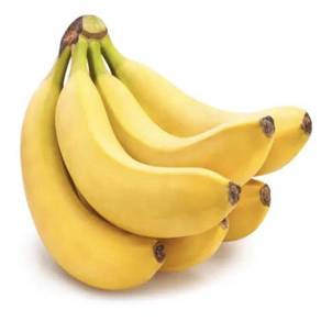 Anak pokok pisang berangan