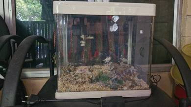 aquarium