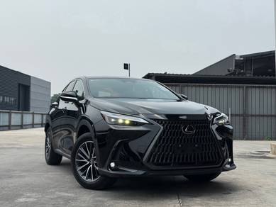 2023 Lexus NX 250 LUXURY