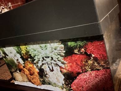 Aquarium size 2ft x 1.5ft
