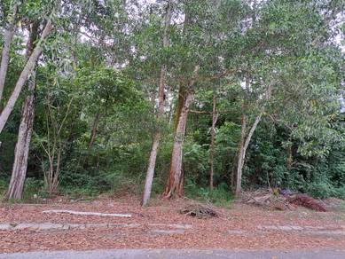 Residential Land in Ipoh, PRK