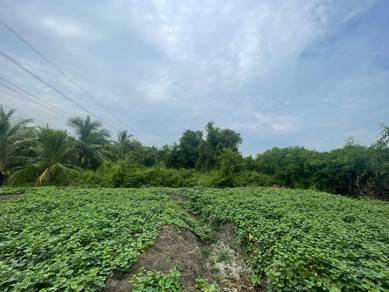 Agricultural Land in Kapar, SGR