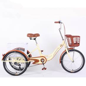 20 Inch Cargo Kargo Bicycle Bike Tricycle Adult