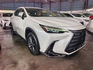 Lexus NX 250 LUXURY in Kayu Ara, SGR