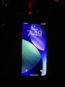 12 pro max 256gb