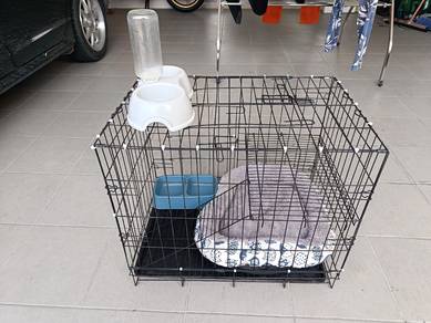 sangkar kucing 