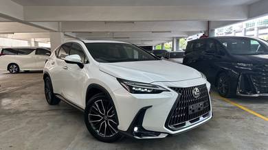 Lexus NX 250 LUXURY in Desa Petaling, KUL