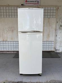 Elba 2 Door Peti ais Fridge 300Ltrs