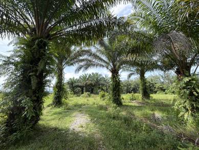 Agricultural Land in Machang, KTN