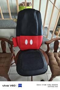 Gintell Portable Massage Cushion