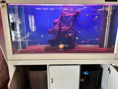 tank 5 kaki sekali kabinet