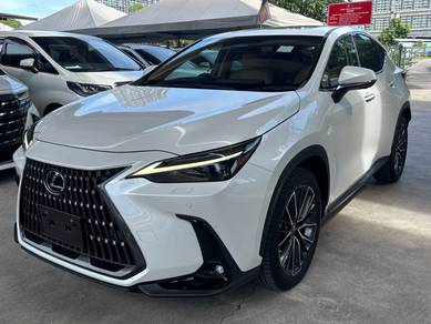 2023 Lexus NX 250 LUXURY