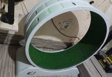 Cat running wheel/exercise wheel