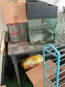 akuarium ada tiga 