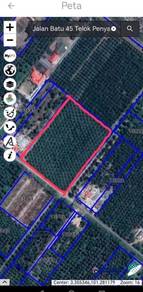 Agricultural Land in Kuala Selangor, SGR