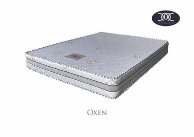 9 Inch Spring Mattress