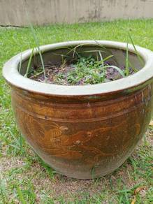 Flower Pot