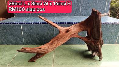 Driftwood kayu aquarium boleh stand tank Discus
