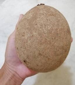 Bambangan 