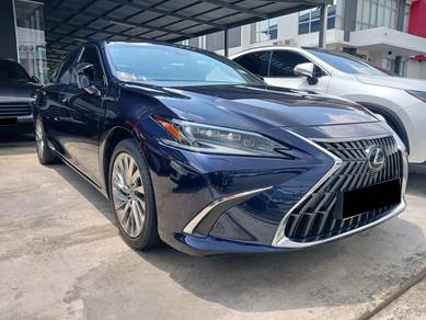 2022 Lexus ES 250 LUXURY
