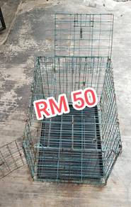 sangkar kucing