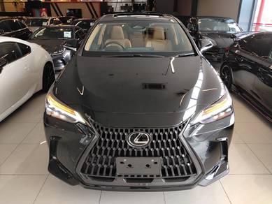 Lexus NX 250 LUXURY in Taman Tun Dr Ismail, KUL