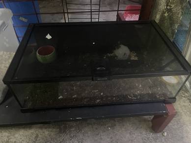 akuarium terrarium