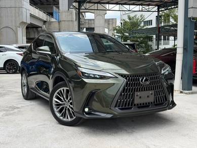 2023 Lexus NX 250 LUXURY