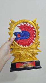 Trophy Trofi Betta Ikan Laga