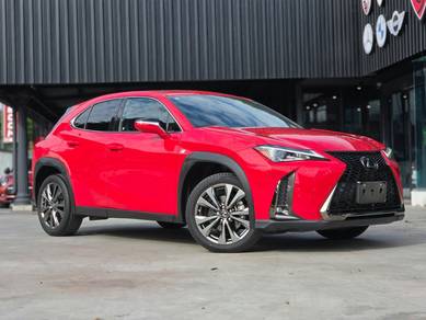 2021 Lexus UX 200 URBAN
