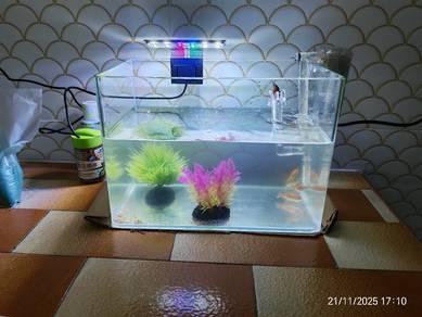 Glass Aquarium