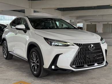 Lexus NX 250 LUXURY in Sungai Besi, KUL