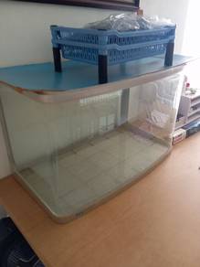 Aquarium 