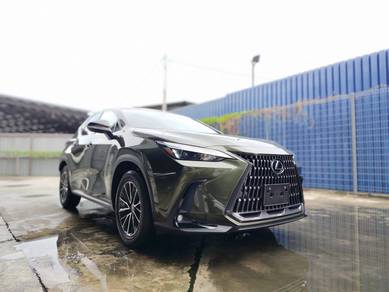 Lexus NX 250 LUXURY in Chan Sow Lin, KUL