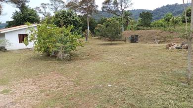 Agricultural Land in Sepang, SGR