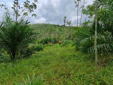 Agricultural Land in Selandar, MLK