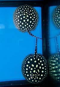 Pure Black Diamond BD Stingray Pari