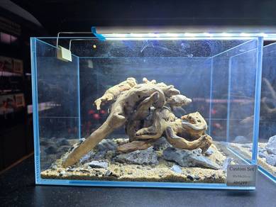 Aquascape Tank 30cm (Driftwood)